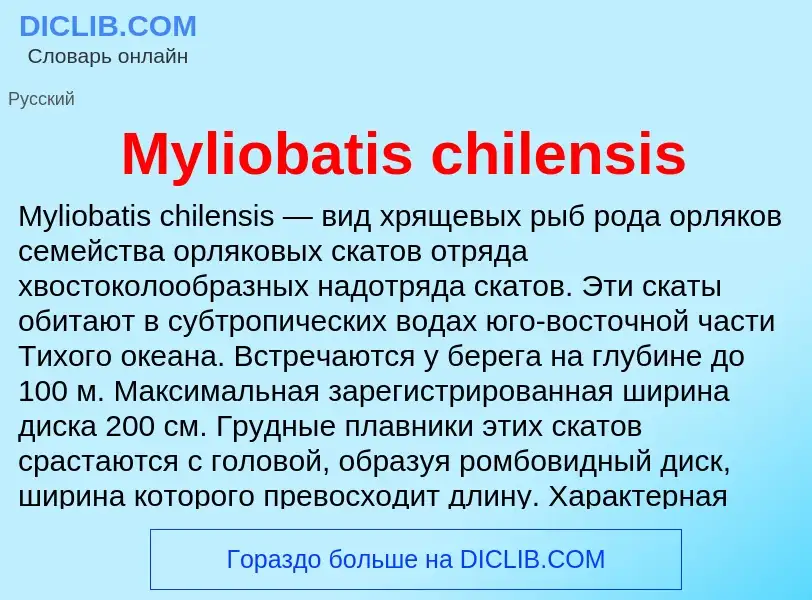 Τι είναι Myliobatis chilensis - ορισμός