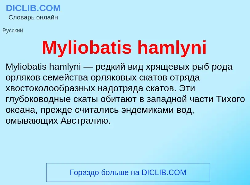 ¿Qué es Myliobatis hamlyni? - significado y definición