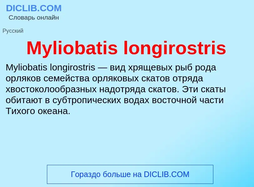 Τι είναι Myliobatis longirostris - ορισμός