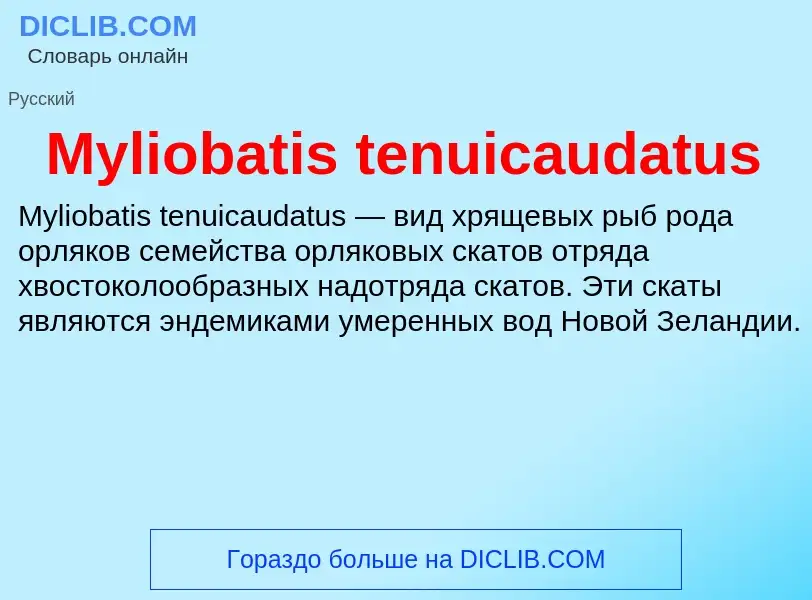 Что такое Myliobatis tenuicaudatus - определение