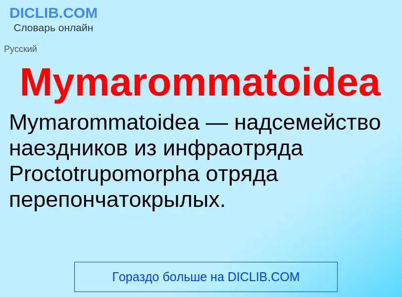 ¿Qué es Mymarommatoidea? - significado y definición