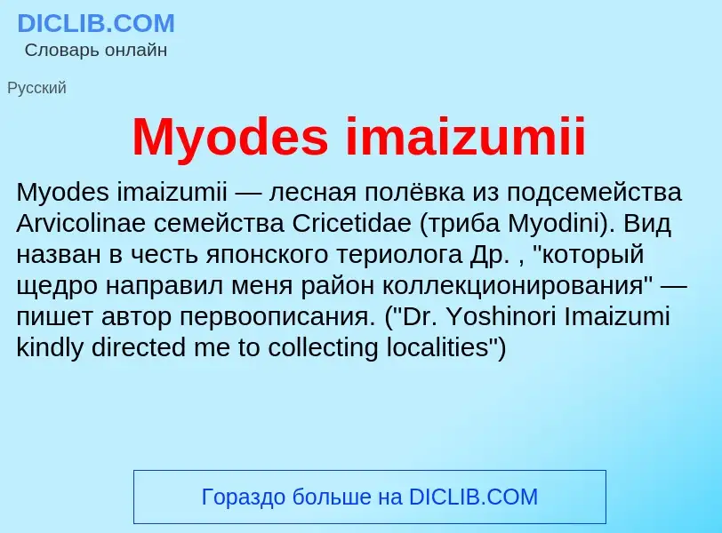 Was ist Myodes imaizumii - Definition