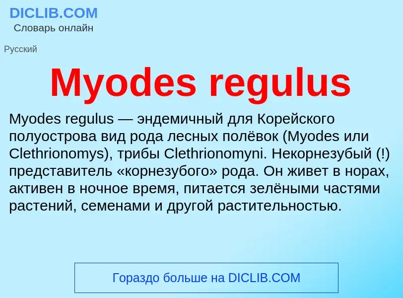 Что такое Myodes regulus - определение