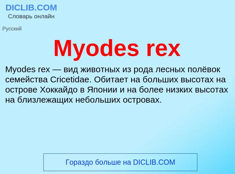 Was ist Myodes rex - Definition