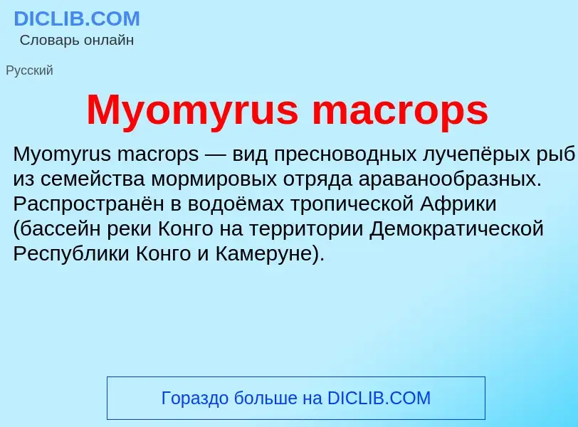 Τι είναι Myomyrus macrops - ορισμός