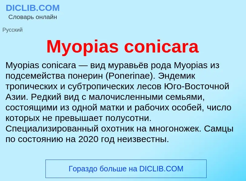 Was ist Myopias conicara - Definition