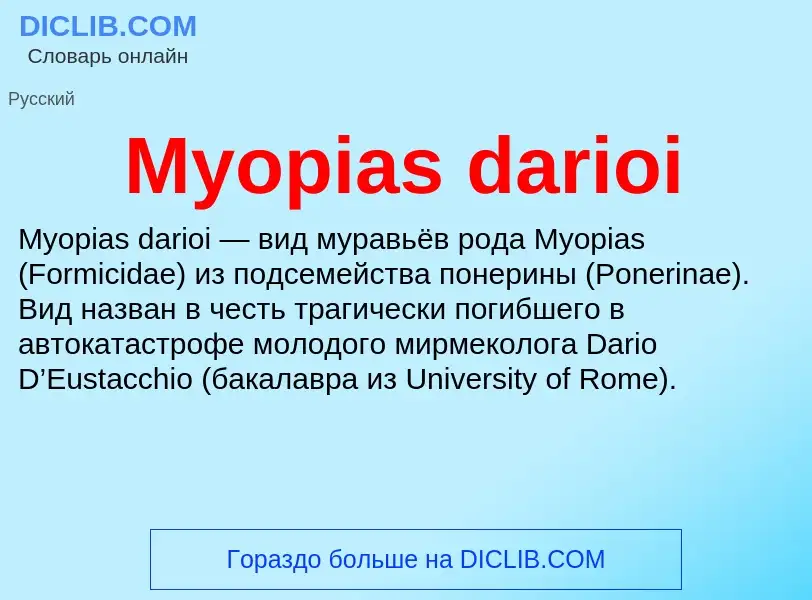 ¿Qué es Myopias darioi? - significado y definición