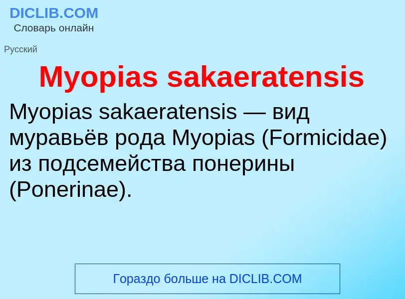 ¿Qué es Myopias sakaeratensis? - significado y definición