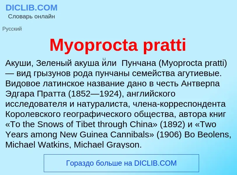 ¿Qué es Myoprocta pratti? - significado y definición