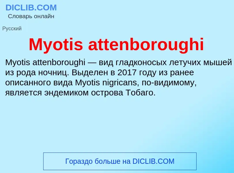 Was ist Myotis attenboroughi - Definition