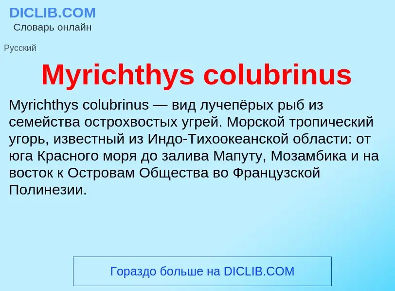 ¿Qué es Myrichthys colubrinus? - significado y definición