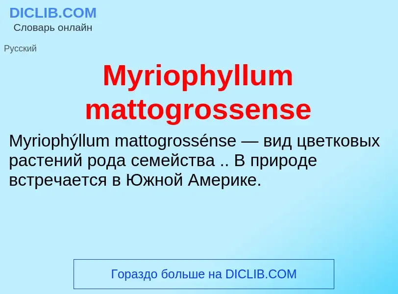 Что такое Myriophyllum mattogrossense - определение