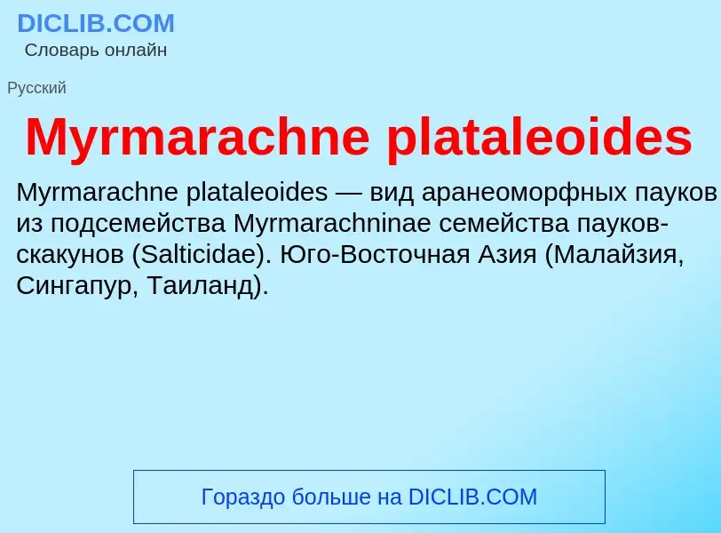 Что такое Myrmarachne plataleoides - определение