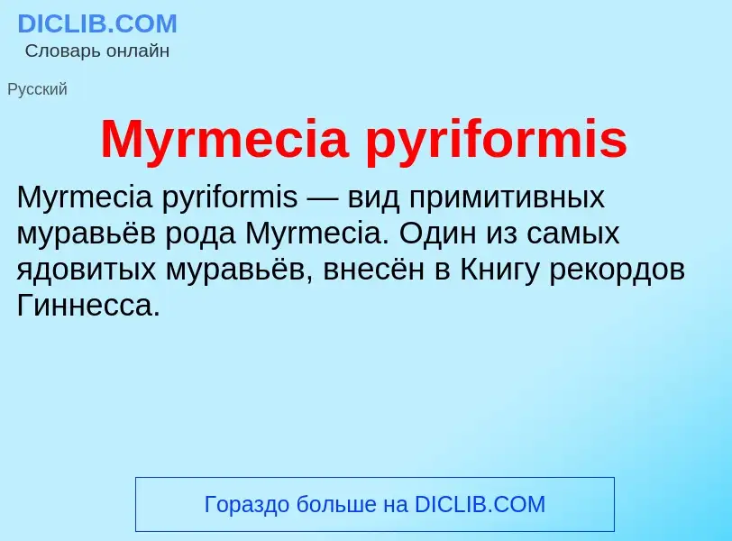 Что такое Myrmecia pyriformis - определение