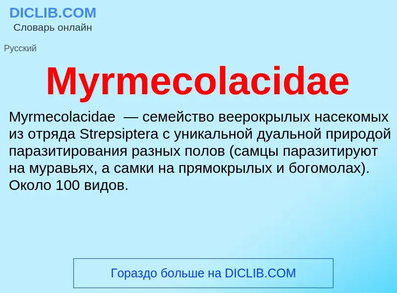 Was ist Myrmecolacidae - Definition