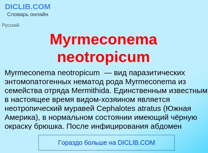 Τι είναι Myrmeconema neotropicum - ορισμός