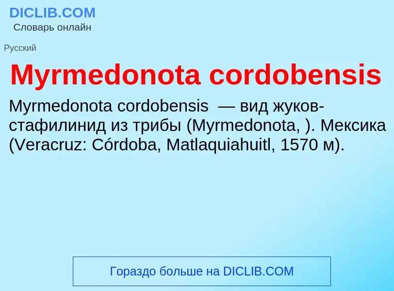 Was ist Myrmedonota cordobensis - Definition