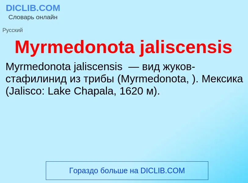 Τι είναι Myrmedonota jaliscensis - ορισμός