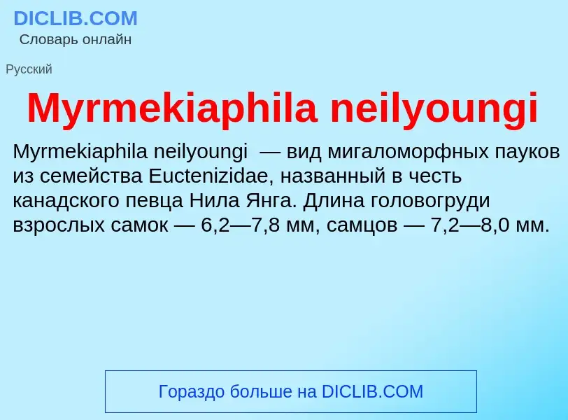 Was ist Myrmekiaphila neilyoungi - Definition