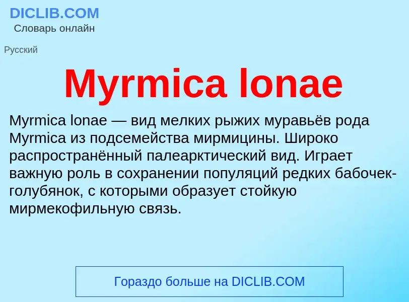 Was ist Myrmica lonae - Definition