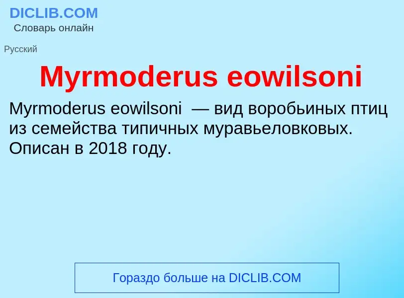 What is Myrmoderus eowilsoni - definition