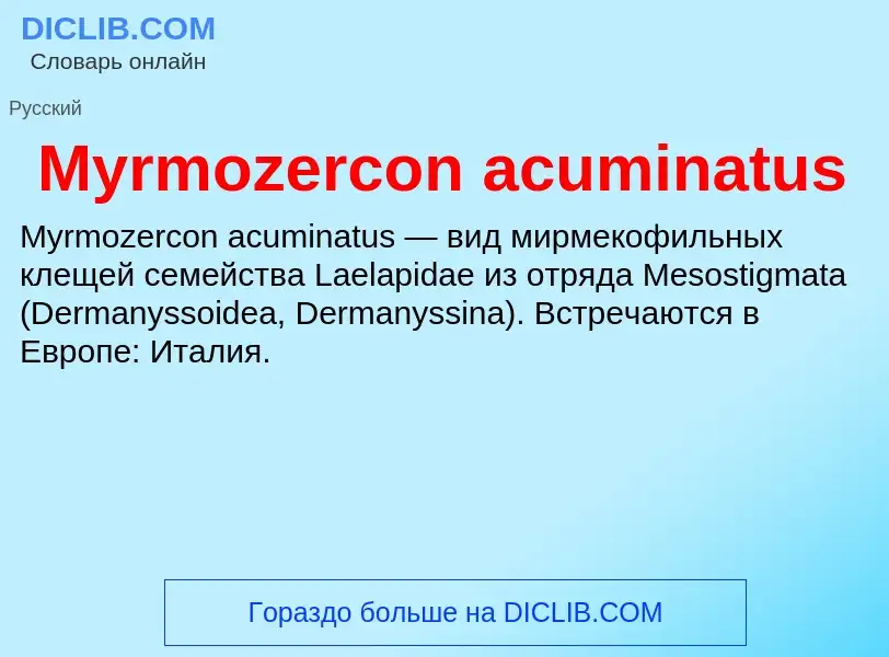 Что такое Myrmozercon acuminatus - определение