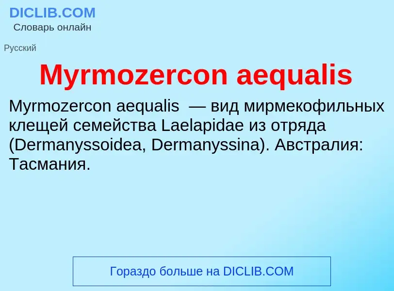 What is Myrmozercon aequalis - definition