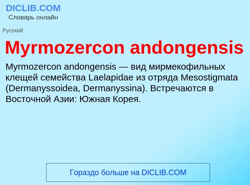 Что такое Myrmozercon andongensis - определение