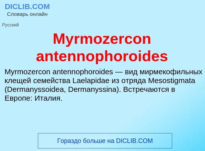 Что такое Myrmozercon antennophoroides - определение