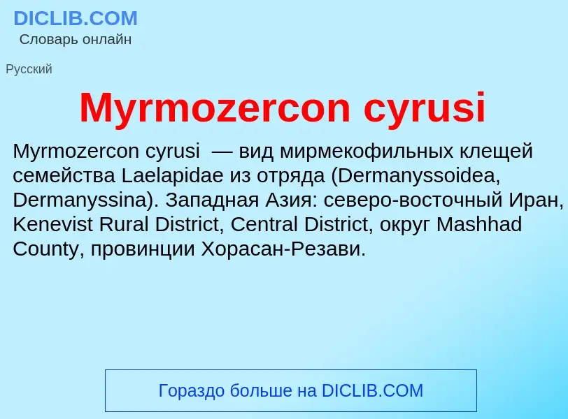 Was ist Myrmozercon cyrusi - Definition