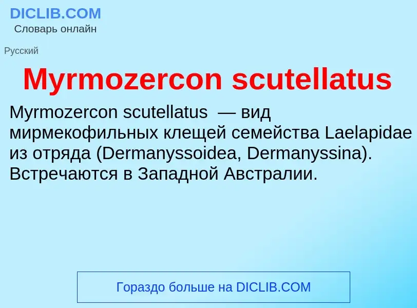 What is Myrmozercon scutellatus - meaning and definition