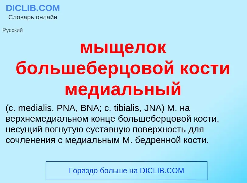 Τι είναι мыщелок большеберцовой кости медиальный  - ορισμός