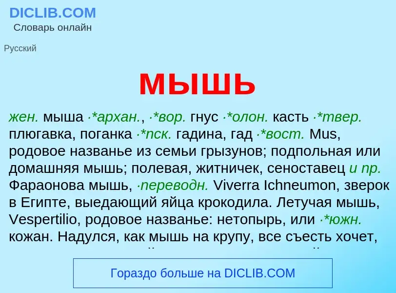 O que é мышь - definição, significado, conceito