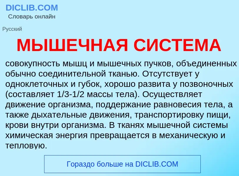 Что такое МЫШЕЧНАЯ СИСТЕМА - определение