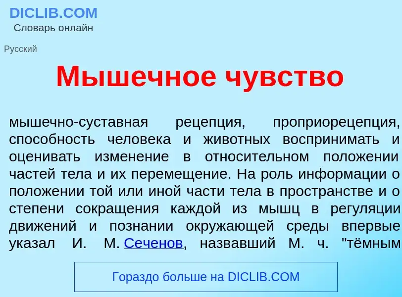 Что такое М<font color="red">ы</font>шечное ч<font color="red">у</font>вство - определение