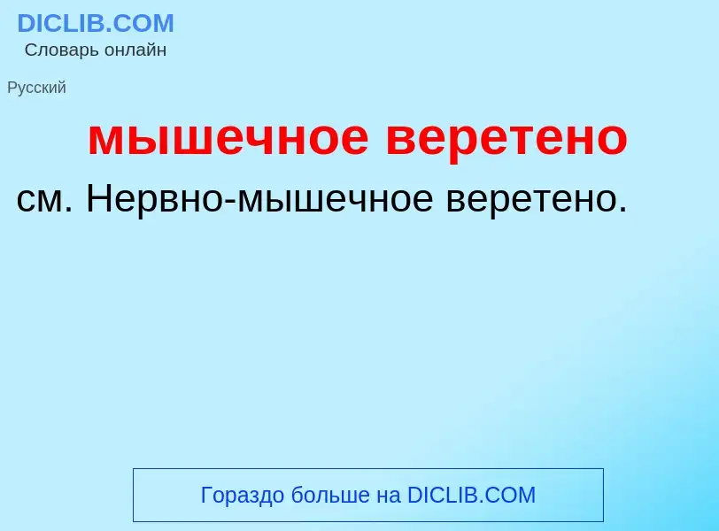 What is мышечное веретено - definition