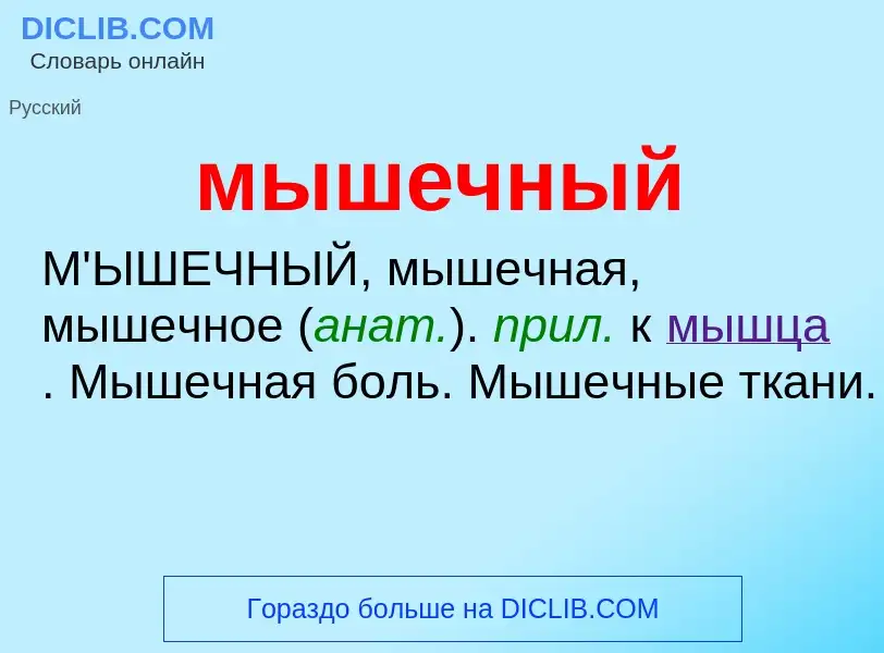 ¿Qué es мышечный? - significado y definición