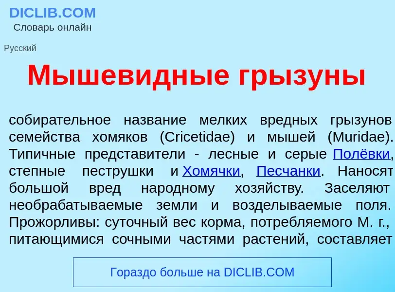 Was ist Мышев<font color="red">и</font>дные грызун<font color="red">ы</font> - Definition