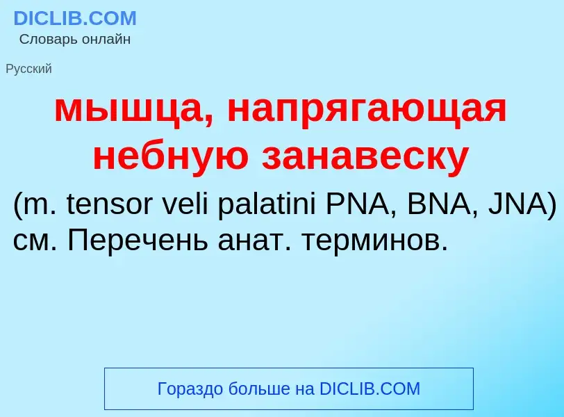 Τι είναι мышца, напрягающая небную занавеску  - ορισμός