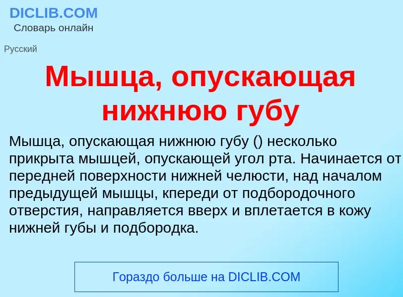 Τι είναι Мышца, опускающая нижнюю губу - ορισμός