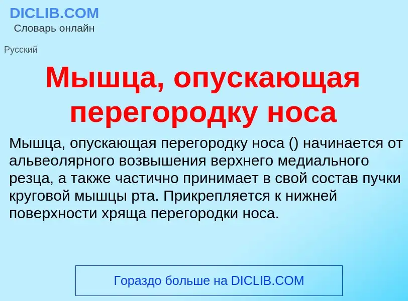 Τι είναι Мышца, опускающая перегородку носа - ορισμός