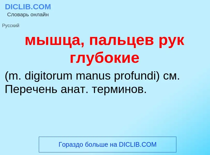 Τι είναι мышца, пальцев рук глубокие  - ορισμός