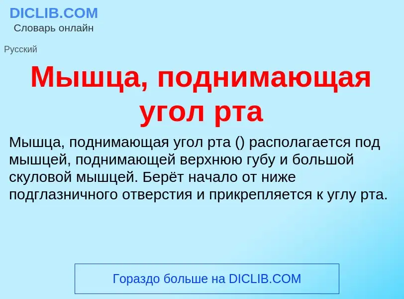 Τι είναι Мышца, поднимающая угол рта - ορισμός