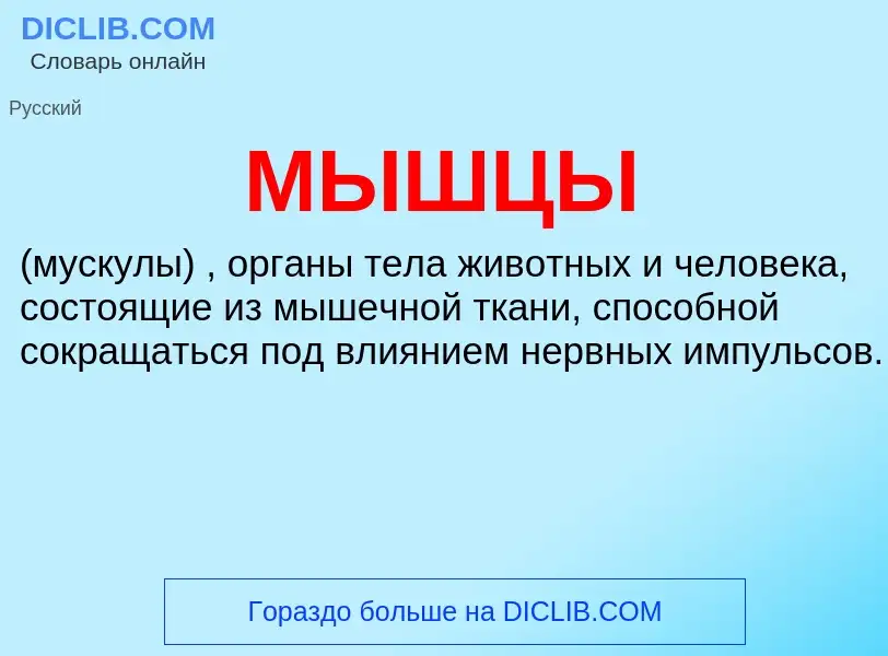 ¿Qué es МЫШЦЫ? - significado y definición