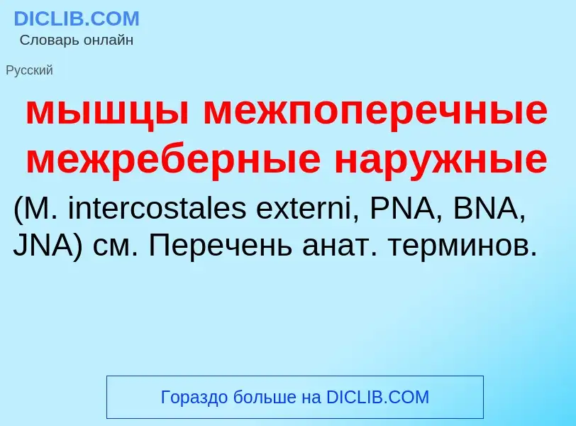 Τι είναι мышцы межпоперечные межреберные наружные  - ορισμός