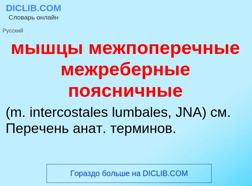 Τι είναι мышцы межпоперечные межреберные поясничные  - ορισμός