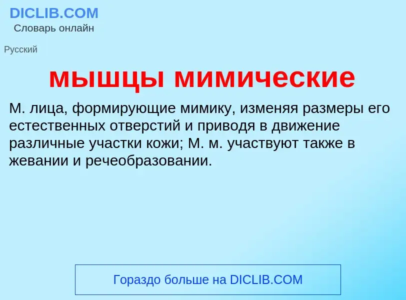 What is мышцы мимические - definition