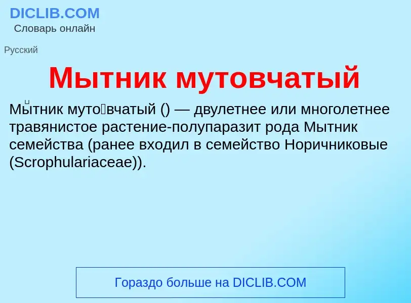 Что такое Мытник мутовчатый - определение