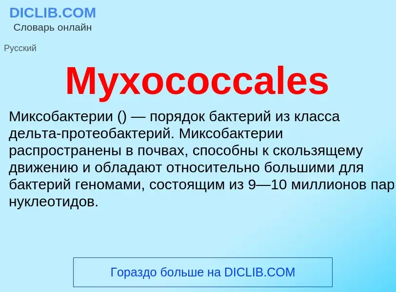 Что такое Myxococcales - определение