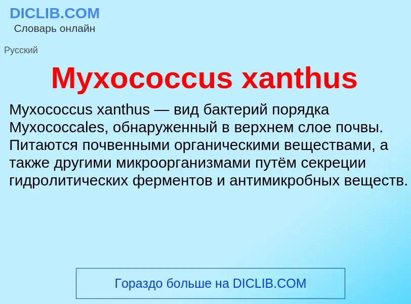 What is Myxococcus xanthus - meaning and definition